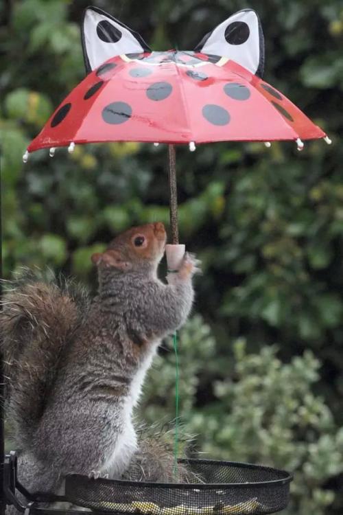 我在风雨中取得了成功。