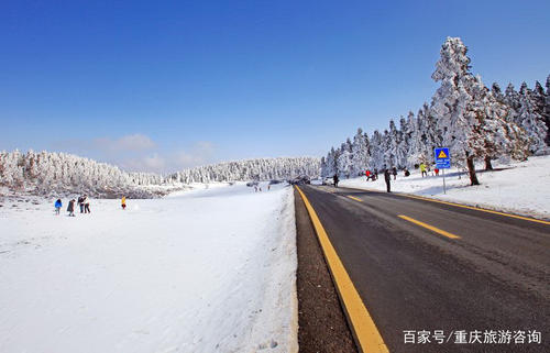 仙女山雪景
