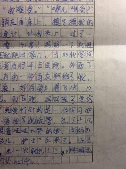 构成邻居800字