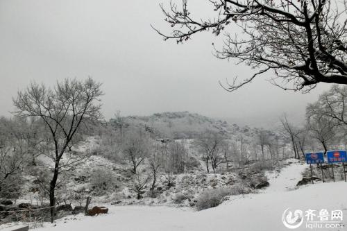 那个春天的雪