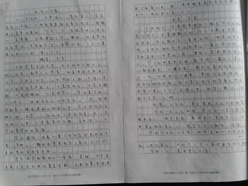 让我们为主题编写600字的组成