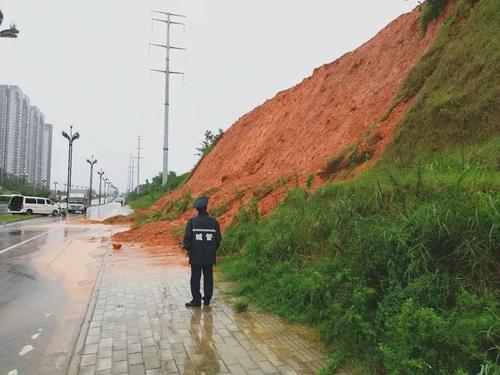 持续存在于风雨上