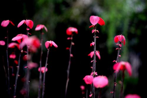 四个季节