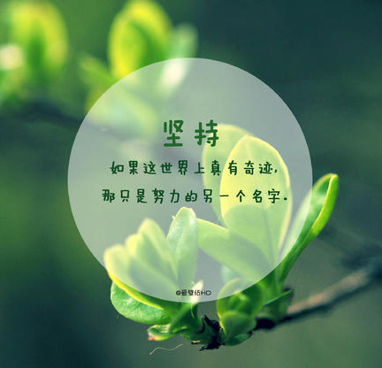 生活是美丽的，因为诚意