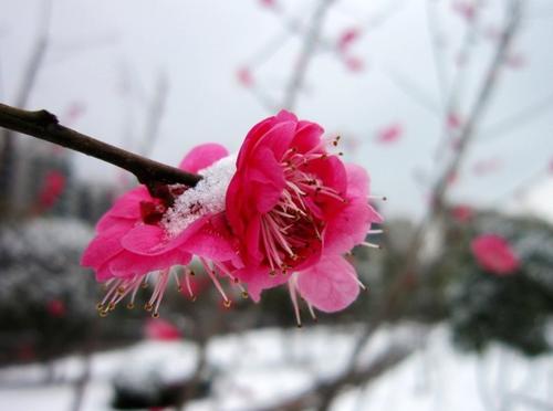 雪在寒冷，教堂，我是一个男人