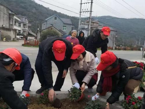 雷锋行动