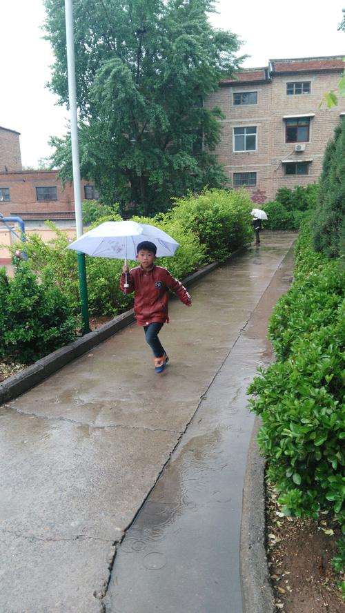 校园春天雨