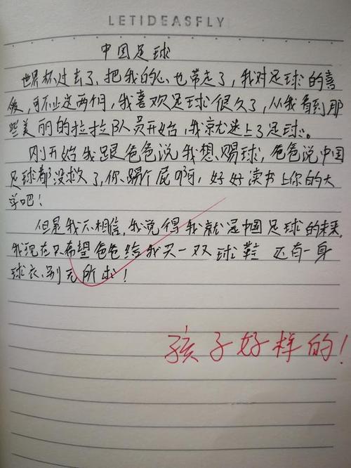 你的爱是温暖的，我的作文是500字。