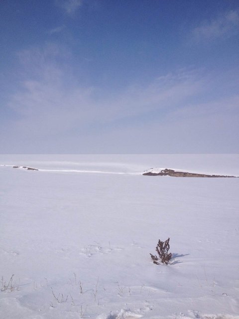 让灵魂像雪一样