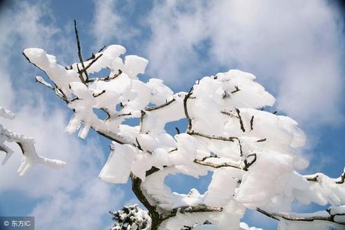 冬天的感情，雪浪漫