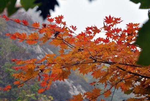 秋季休息