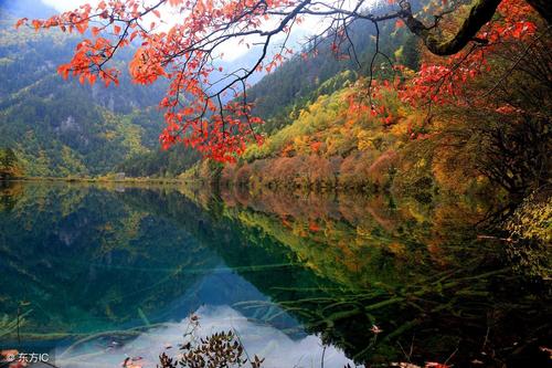 醉酒九寨沟