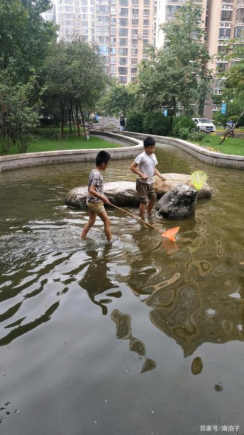 孩子们捕鱼