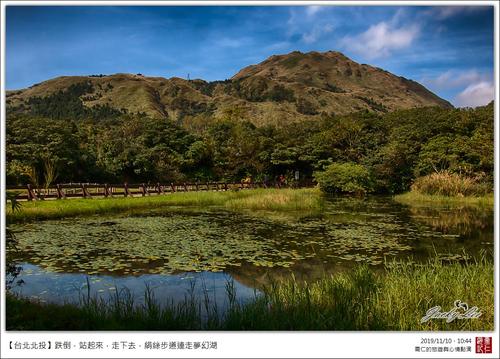 还有秋天落下的风景。