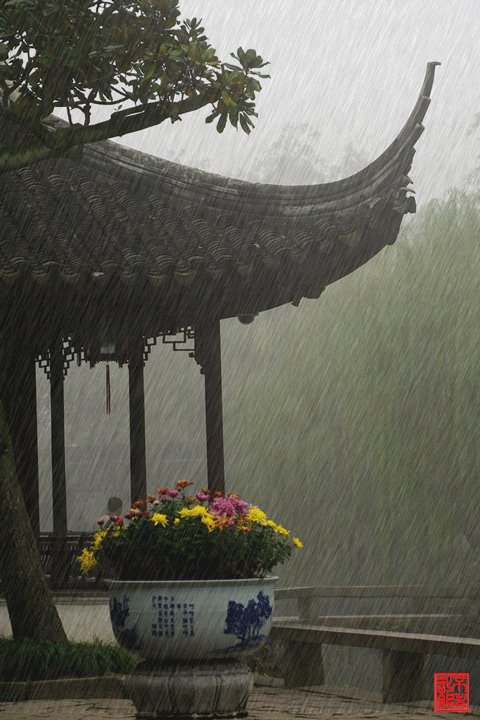 雨在雨中