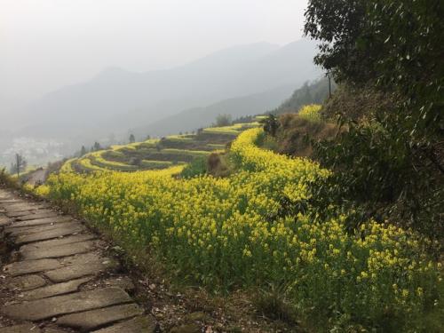 走在乡村道路