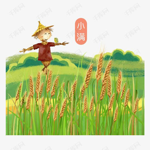 拯救米饭 - “稻草人”继续