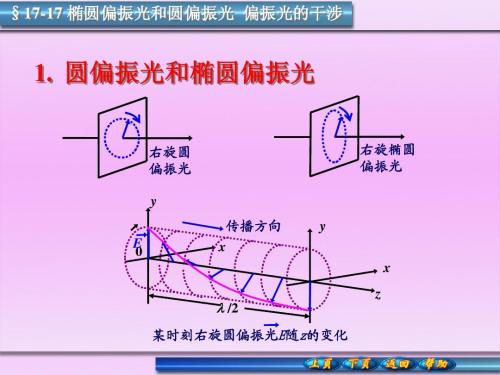 椭圆形和圆形故事