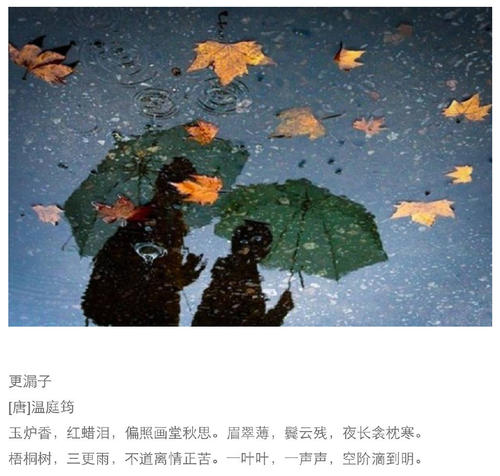 秋天雨秋雨