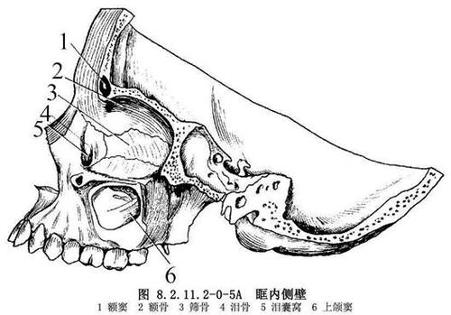 人们通过泪水改变