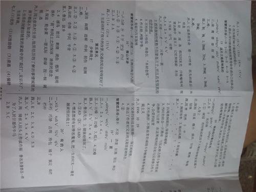 我在初中的第一天_300字