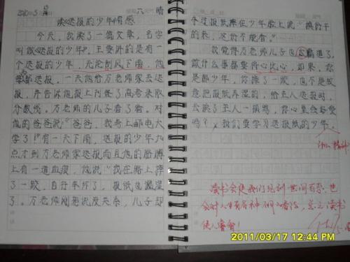 阅读“中国少年”_450字