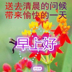 在早上告诉我_250字