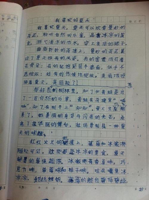 我的母亲_900字