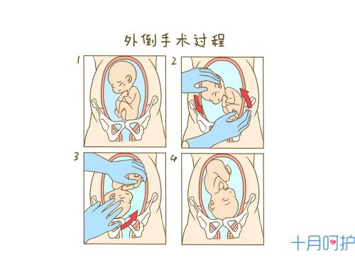 左手和右手_900字