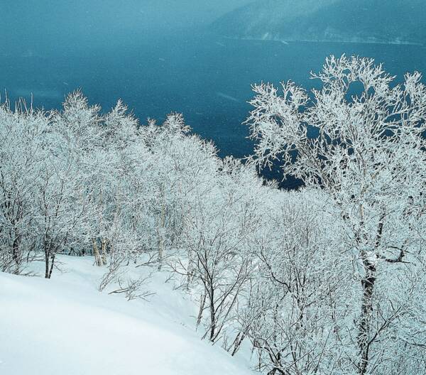 雪景上的构图：雪视图_200字