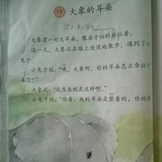 单位成分：大象的名片_200字