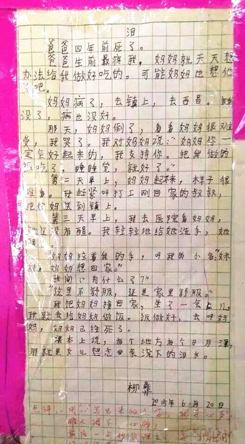 对你母亲说_250字