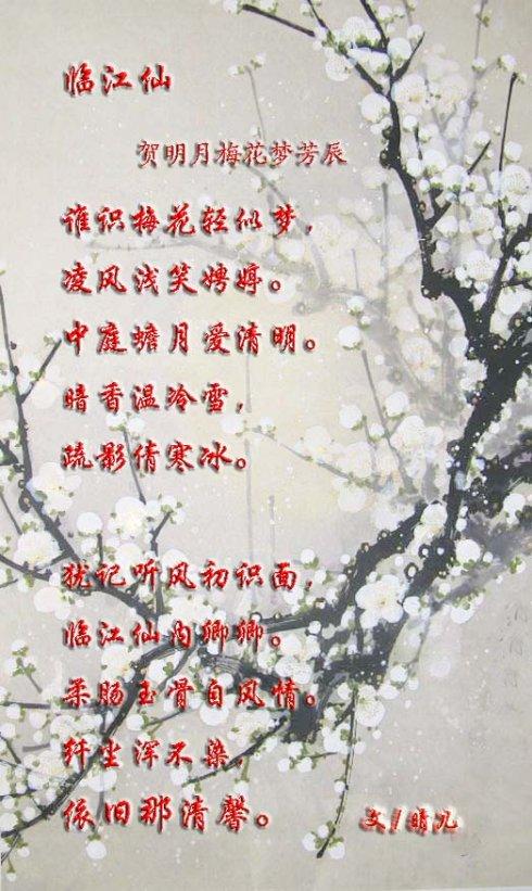 Mingyue Plum Blossom Dream _600字