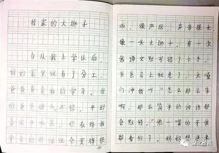 [2016年最终论文]关于阅读_800字