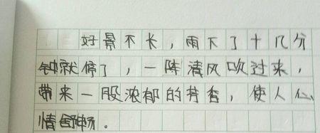 我不想要_250字