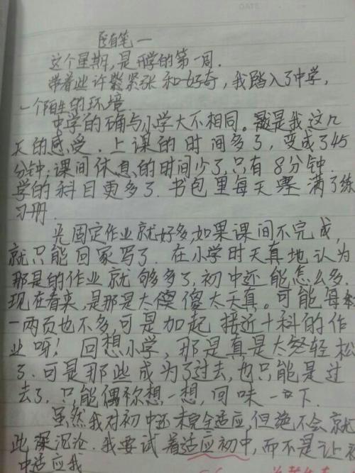 可用_550字