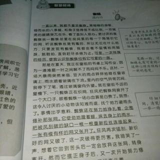 测试成分的第一阶段的末端：蜘蛛和灰尘_1200字