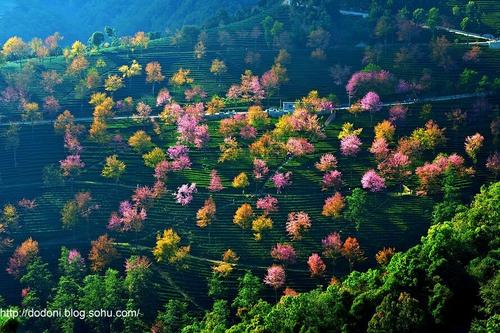 [冬季缘故PK旅游]温暖在冬天_900字