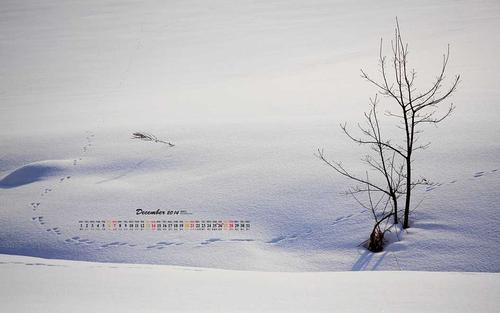 绝望的雪，想念痛苦_1500字