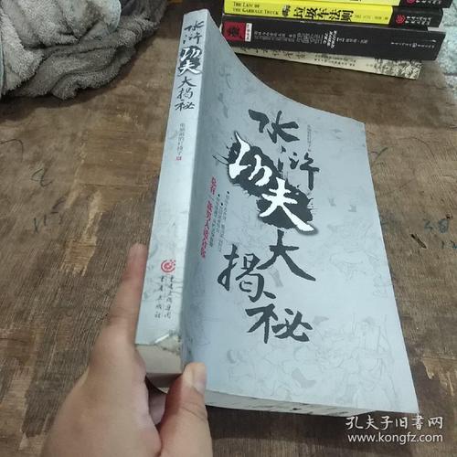 功夫大秘密_600字