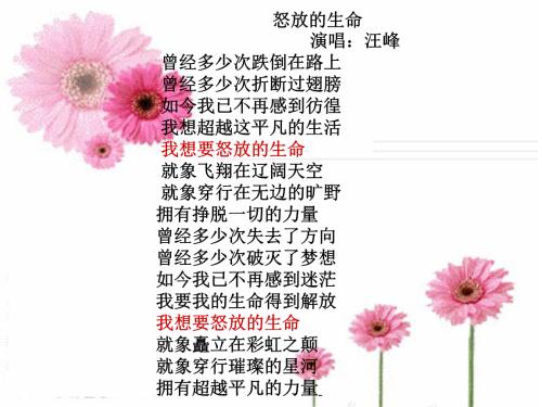 让生命之花绽放_400字