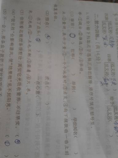 我钦佩人_550字