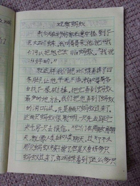 观察日记4 _900字