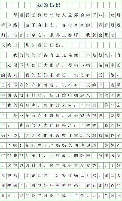 我终于可以看到母亲_450字