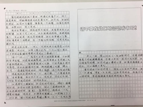 高中试验组成：休闲_500字