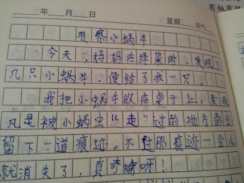 与动物的组成：两匹马_800字