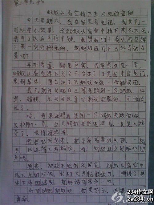 环境保护组成_900字