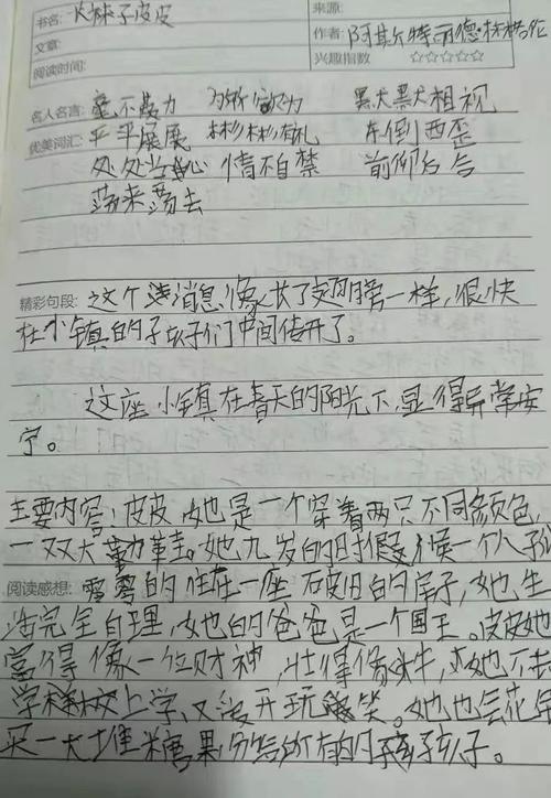 “袜子pipi”阅读笔记_2000字