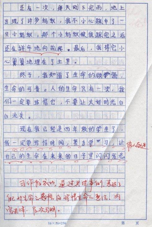 安全构成：安全有幸福_700字