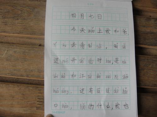 2014年上海中学研究写作技巧：行动分解